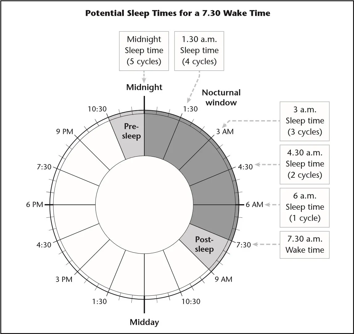 potential sleep cycle